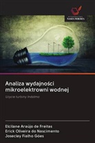 Elcilane Araújo de Freitas, Josecley Fialho Góes, Erick Oliveira do Nascimento - Analiza wydajnosci mikroelektrowni wodnej