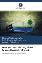Elcilan Araújo de Freitas, Elcilane Araújo de Freitas, Josecley Fialho Góes, Oliveira do Nascimento, Erick Oliveira do Nascimento - Analyse der Leistung eines Mikro-Wasserkraftwerks