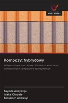 Benjamin Adewuyi, Bayode Adeyanju, Isiaka Oladele - Kompozyt hybrydowy