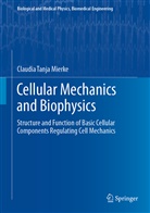 Claudia Tanja Mierke - Cellular Mechanics and Biophysics