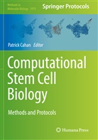 Patric Cahan, Patrick Cahan - Computational Stem Cell Biology
