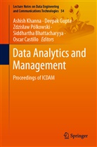 Siddhartha Bhattacharyya, Oscar Castillo, Deepa Gupta, Deepak Gupta, Ashish Khanna, Zdzislaw Polkowski... - Data Analytics and Management