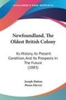 Moses Harvey, Joseph Hatton - Newfoundland, The Oldest British Colony