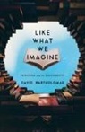 David Bartholomae - Like What We Imagine