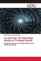 María Clarissa Arenas Hinojosa - La pericial. Un abordaje desde el Trabajo Social