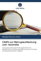 Maxwell Obiorah Ilochi - CAATs zur Betrugsaufdeckung und -kontrolle
