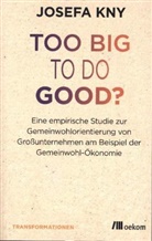 Josefa Kny - Too big to do good?