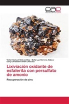 Victor Samuel Chávez Díaz, Gary Christiam Farfán Chilicaus, Bella Luz Herrera Aldave - Lixiviación oxidante de esfalerita con persulfato de amonio