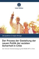Jacqueline Crespo  Amigo, Jacqueline Crespo Amigo - Der Prozess der Gestaltung der neuen Politik der sozialen Sicherheit in Chile