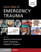 Demetrios Demetriades, Demetrios Chudnofsky Demetriades, Elizabeth R Benjamin, Elizabeth R. Benjamin, Carl R Chudnofsky, Carl R. Chudnofsky... - Color Atlas of Emergency Trauma