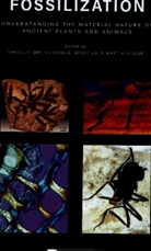Carole T. Gee, Carole T. (Associate Professor of Paleontolog Gee, Victoria E. McCoy, Martin Sander, P. Martin Sander, Carole T. Gee... - Fossilization