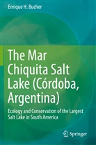 Enrique H Bucher, Enrique H. Bucher - The Mar Chiquita Salt Lake (Córdoba, Argentina)