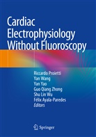 Félix Ayala-Paredes, Shu Lin Wu, Riccardo Proietti, Ya Wang, Yan Wang, Yan Yao... - Cardiac Electrophysiology Without Fluoroscopy