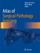 Monic B Lemos, Monica B Lemos, Monica B. Lemos, Okoye, Okoye, Ekene Okoye - Atlas of Surgical Pathology Grossing