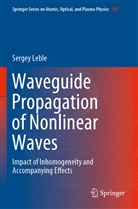 Sergey Leble - Waveguide Propagation of Nonlinear Waves