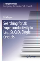 Itzik Kapon - Searching for 2D Superconductivity in La2-xSrxCuO4 Single Crystals