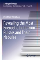 David Carreto Fidalgo - Revealing the Most Energetic Light from Pulsars and Their Nebulae