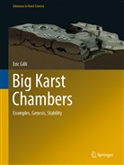 Eric Gilli - Big Karst Chambers