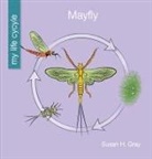 Susan H Gray, Susan H. Gray, Jeff Bane - Mayfly