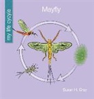 Susan H Gray, Susan H. Gray, Jeff Bane - Mayfly