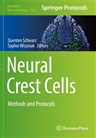 Quente Schwarz, Quenten Schwarz, Wiszniak, Wiszniak, Sophie Wiszniak - Neural Crest Cells