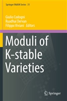 Giulio Codogni, Ruadha Dervan, Ruadhaí Dervan, Filippo Viviani - Moduli of K-stable Varieties