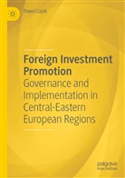 Pawe¿ Capik, Pawel Capik - Foreign Investment Promotion