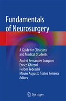 Mauro Augusto Tostes Ferreira, Enric Ghizoni, Enrico Ghizoni, Andrei Fernandes Joaquim, Helder Tedeschi, Helder Tedeschi et al - Fundamentals of Neurosurgery