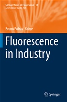 Brun Pedras, Bruno Pedras - Fluorescence in Industry