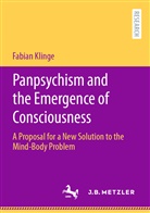 Fabian Klinge - Panpsychism and the Emergence of Consciousness