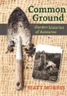 Matt Morris - Common Ground