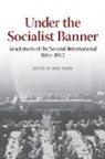 Mike Taber - Under the Socialist Banner