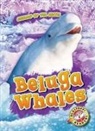 Betsy Rathburn - Beluga Whales