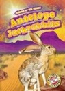 Patrick Perish - Antelope Jackrabbits