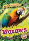 Karen Kenney - Macaws
