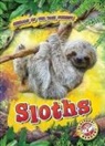 Karen Kenney - Sloths