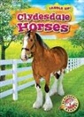 Rachel Grack - Clydesdale Horses