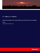 H B Medlicott, H. B. Medlicott, R Oldham, R. D. Oldham - Manual of the Geology of India, chiefly compiled from the Observations of the Geological Survey;