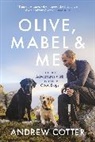 Andrew Cotter - Olive, Mabel & Me