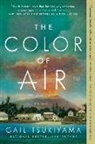 Gail Tsukiyama, Tsukiyama Gail - The Color of Air