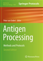 Peter van Endert, Pete van Endert, Peter van Endert - Antigen Processing