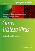 Mosh Bar-Joseph, Moshe Bar-Joseph, Antonino F. Catara, Grazia Licciardello - Citrus Tristeza Virus