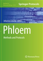 Johanne Liesche, Johannes Liesche - Phloem