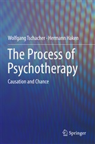 Hermann Haken, Wolfgan Tschacher, Wolfgang Tschacher - The Process of Psychotherapy