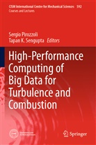 K Sengupta, K Sengupta, Sergi Pirozzoli, Sergio Pirozzoli, Tapan K. Sengupta - High-Performance Computing of Big Data for Turbulence and Combustion