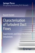Bayode Owolabi - Characterisation of Turbulent Duct Flows