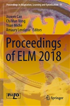 Jiuwen Cao, Amaury Lendasse, Ch Man Vong, Chi Man Vong, Yoan Miche, Yoan Miche et al... - Proceedings of ELM 2018