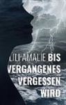 Lili Amalie - Bis Vergangenes vergessen wird