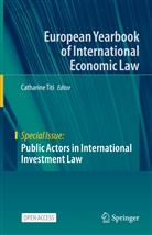 Catharin Titi, Catharine Titi - Public Actors in International Investment Law