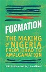 Fola Fagbule, Feyi Fawehinmi - Formation
